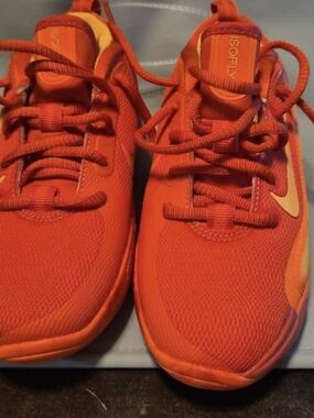Nike Air Zoom Isofly Basketball Shoes